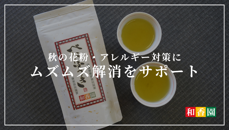 秋の花粉・アレルギー対策に。「べにふうき」でムズムズ解消をサポート